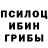 Галлюциногенные грибы Psilocybine cubensis Denis Kozlenkov