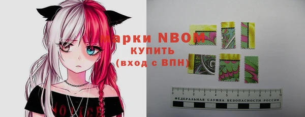 молекула духа Балахна