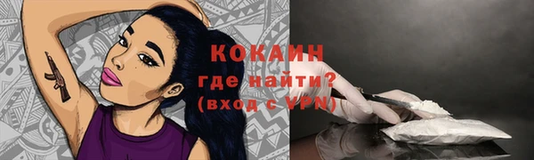 молекула духа Балахна