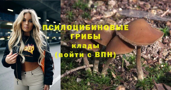 молекула духа Балахна