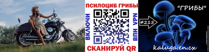 Псилоцибиновые грибы мухоморы  Чекалин 